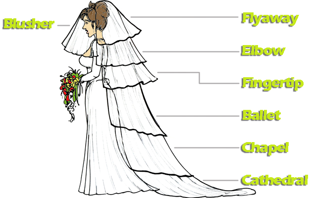 Different Veil Types