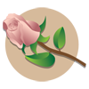 images/icons/flowersIcon_X.png